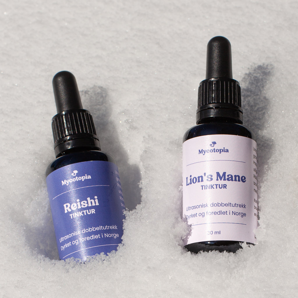 Lion's mane og Reishi bundle - 30 ml