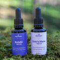 Lion's mane og Reishi: fokus, ro og balanse - 2 x 30 ml