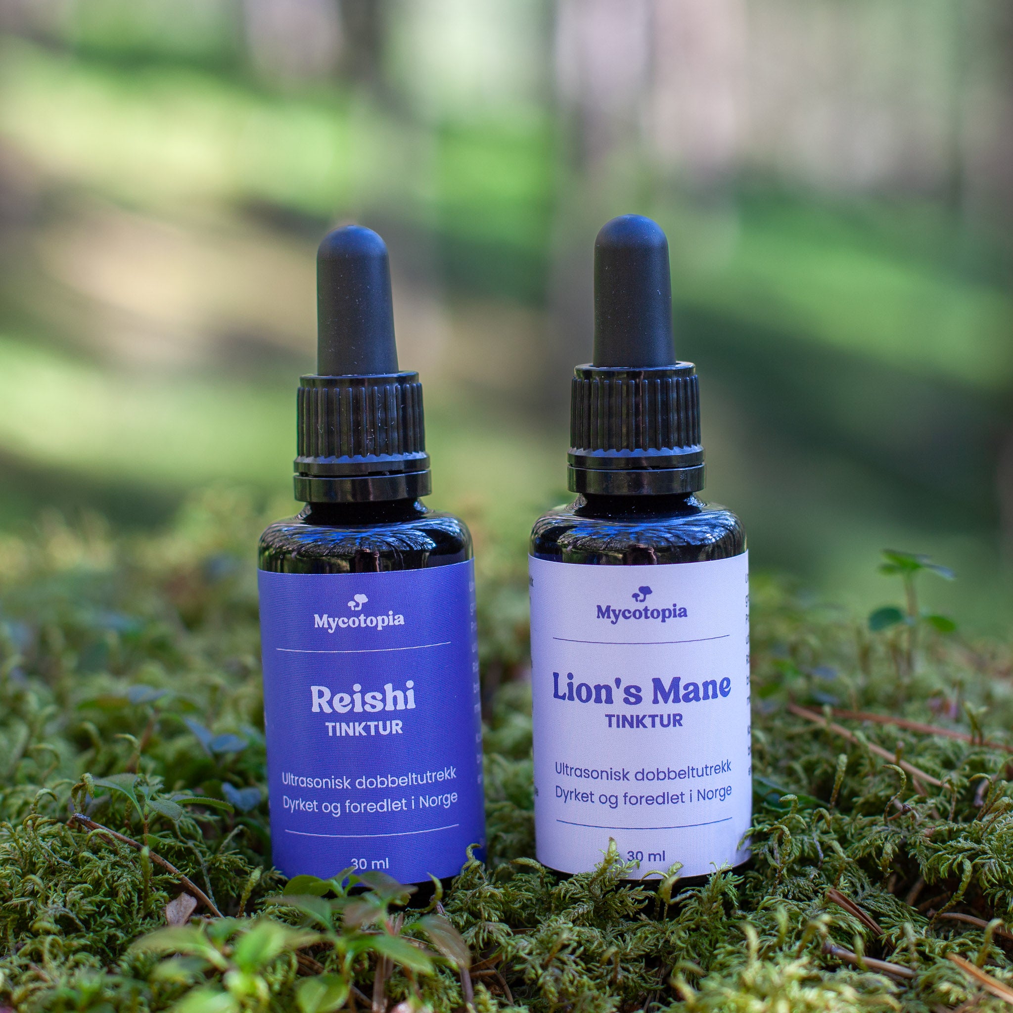 Lion's mane og Reishi: fokus, ro og balanse - 2 x 30 ml