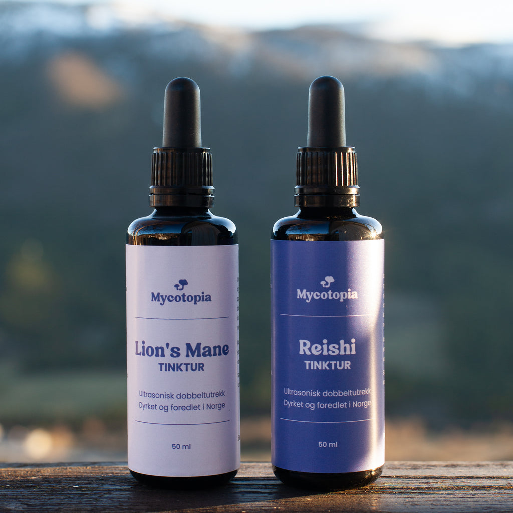 Lion's mane og Reishi: Fokus, ro og balanse - 2 x 50 ml