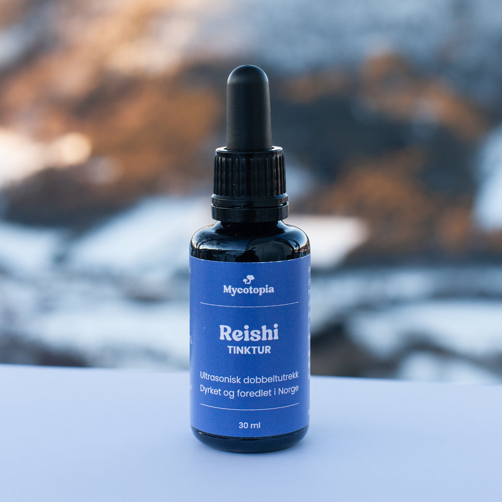 Reishi tinktur 30 ml