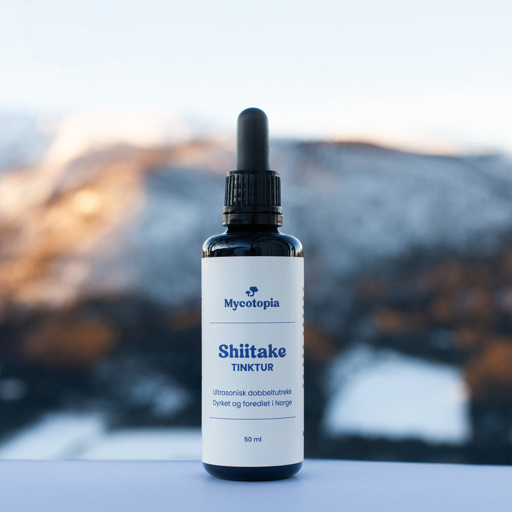 Shiitake tinktur 50 ml