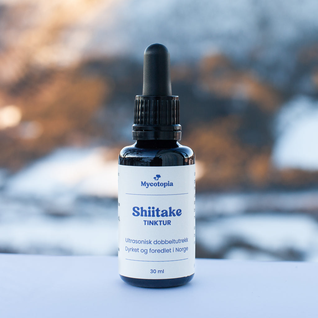 Shiitake tinktur 30 ml